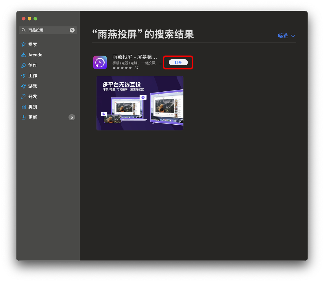 打开雨燕投屏