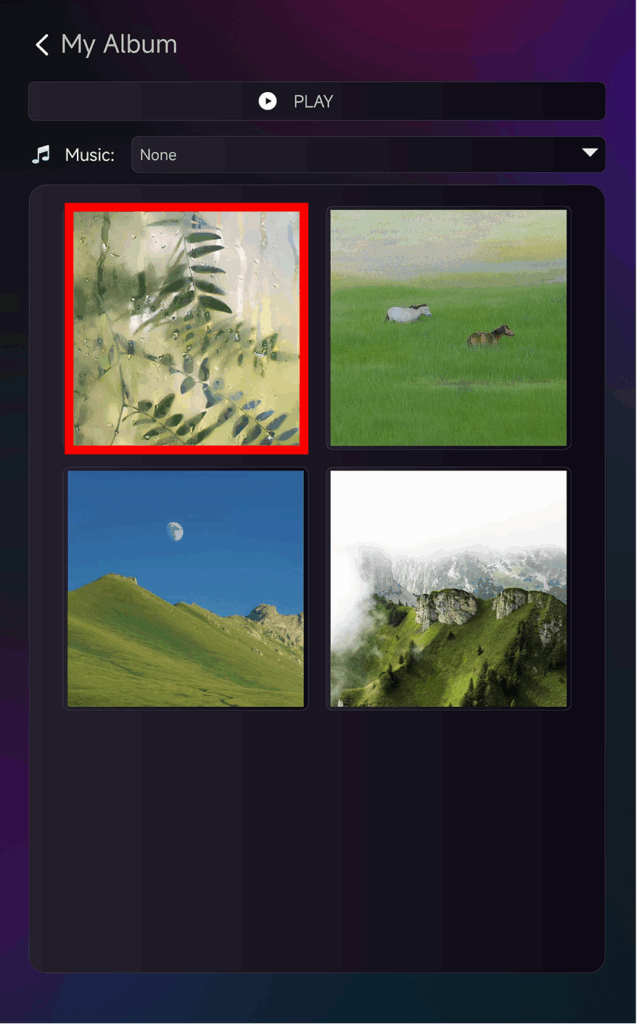 1001 TVs TV My Album page displaying multiple uploaded photos, with one vertical photo highlighted for playback.