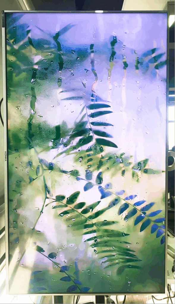 Vertical TV displaying a full-screen photo from the Albums feature on 1001 TVs.